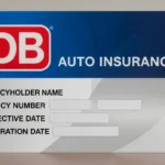 db자동차보험 가입여부 확인